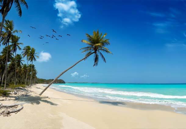 Mangro Hotel Diani Beach Eksteriør billede
